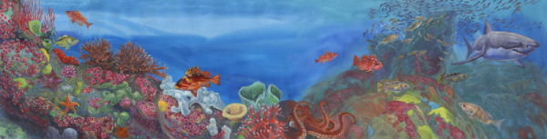 Deep Sea Reef in Illustrations
